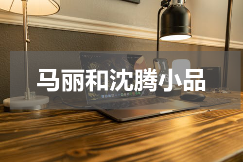 马丽和沈腾小品