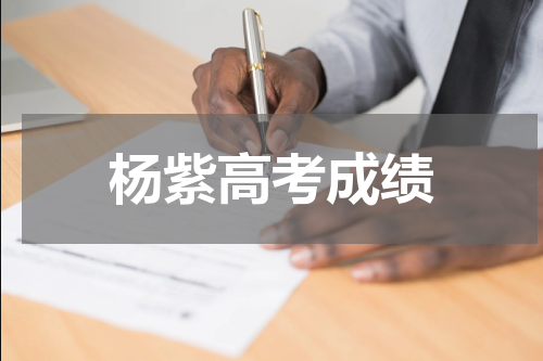 杨紫高考成绩