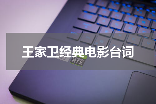 王家卫经典电影台词