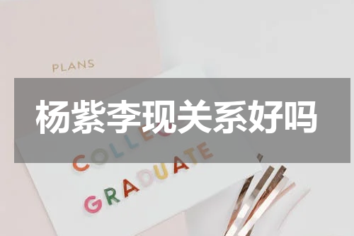 杨紫李现关系好吗