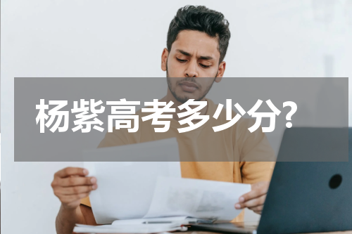 杨紫高考多少分?