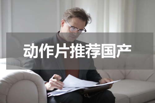 动作片推荐国产