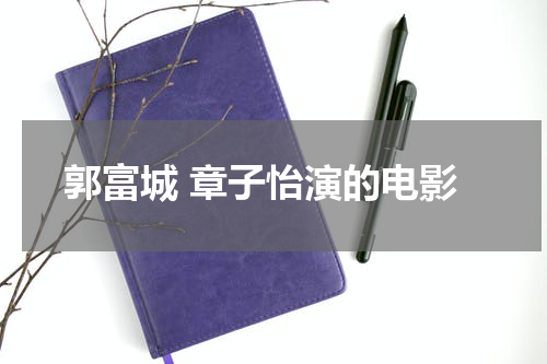 郭富城 章子怡演的电影