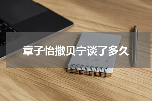 章子怡撒贝宁谈了多久