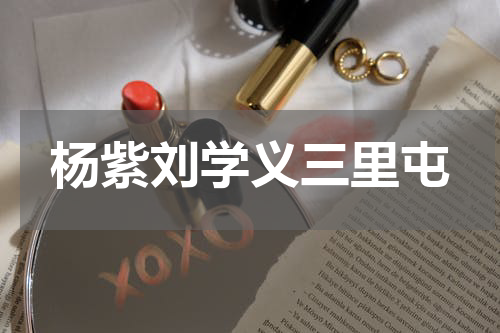 杨紫刘学义三里屯