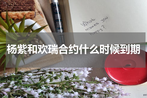 杨紫和欢瑞合约什么时候到期