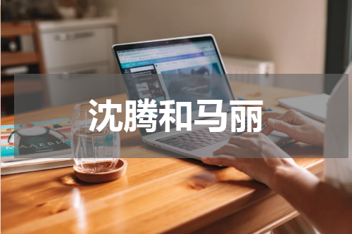 沈腾和马丽