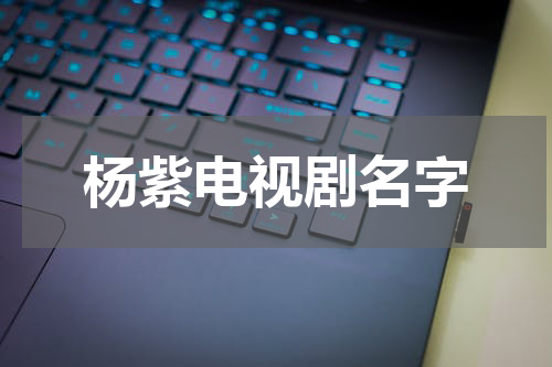 杨紫电视剧名字
