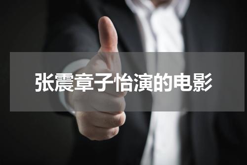 张震章子怡演的电影