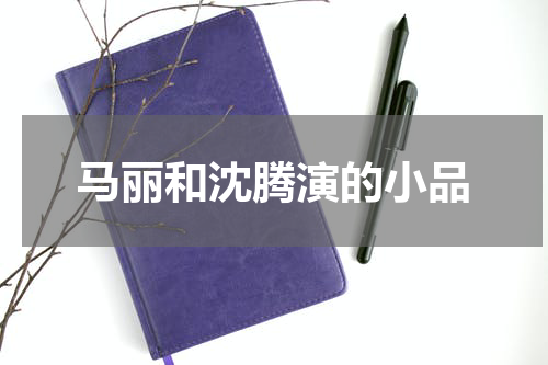 马丽和沈腾演的小品