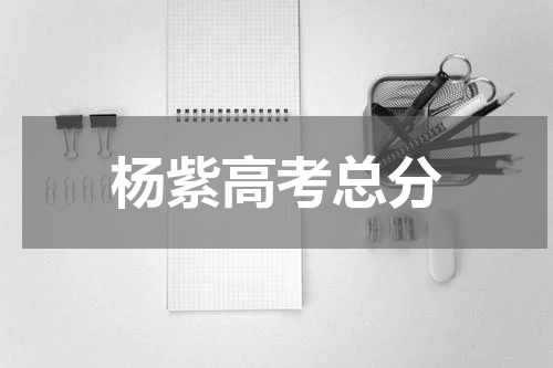 杨紫高考总分