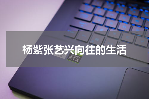 杨紫张艺兴向往的生活