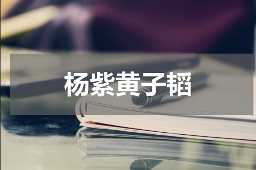 杨紫黄子韬