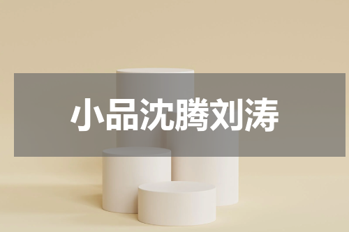 小品沈腾刘涛