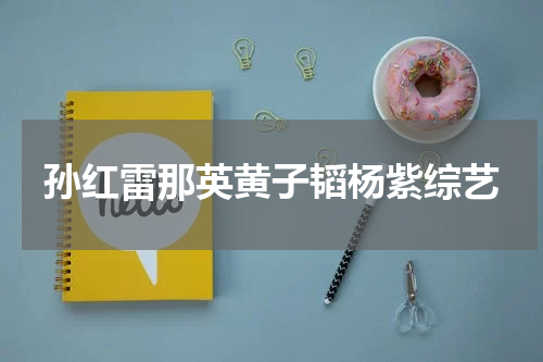 孙红雷那英黄子韬杨紫综艺