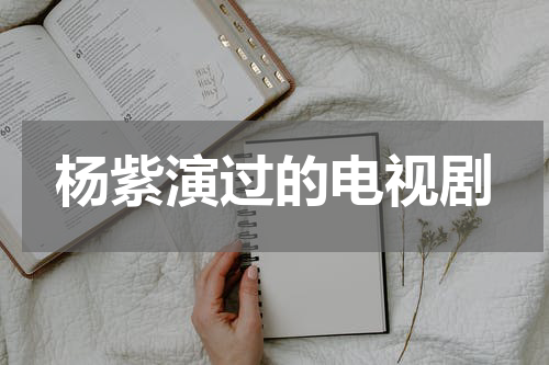 杨紫演过的电视剧