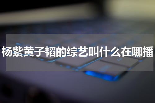 杨紫黄子韬的综艺叫什么在哪播