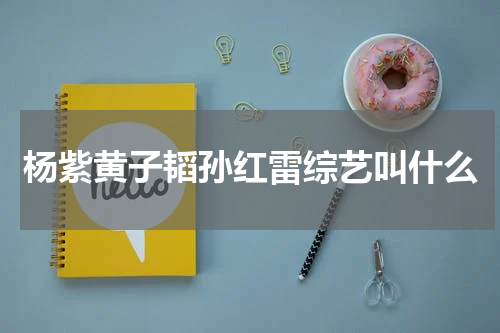 杨紫黄子韬孙红雷综艺叫什么