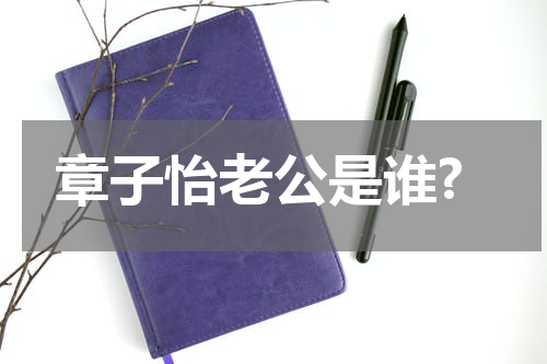 章子怡老公是谁?