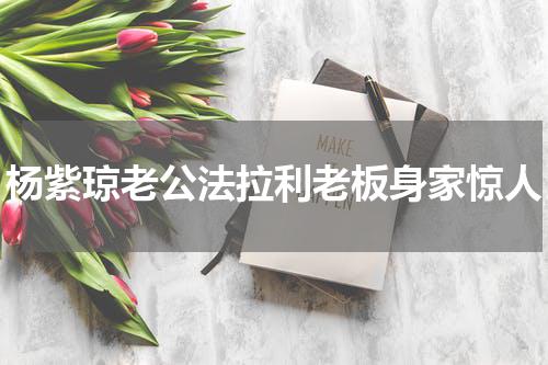 杨紫琼老公法拉利老板身家惊人