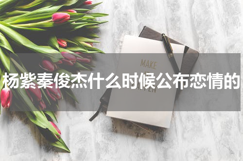 杨紫秦俊杰什么时候公布恋情的