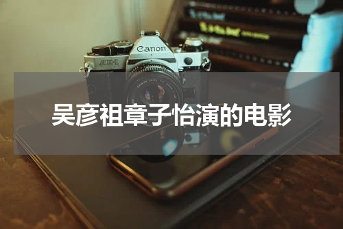 吴彦祖章子怡演的电影