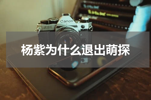 杨紫为什么退出萌探