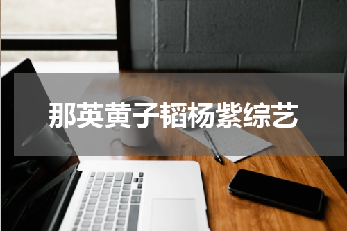 那英黄子韬杨紫综艺