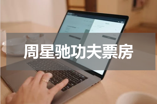 周星驰功夫票房