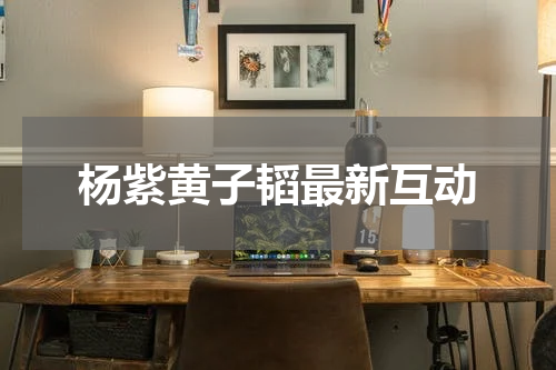 杨紫黄子韬最新互动