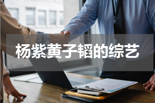 杨紫黄子韬的综艺
