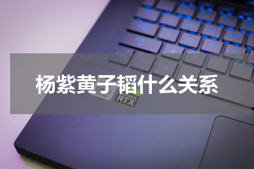 杨紫黄子韬什么关系
