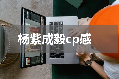 杨紫成毅cp感