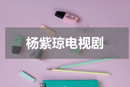 杨紫琼电视剧