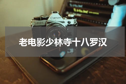 老电影少林寺十八罗汉