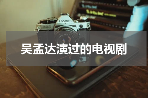 吴孟达演过的电视剧