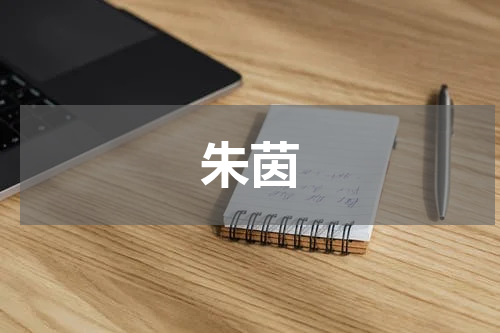 朱茵