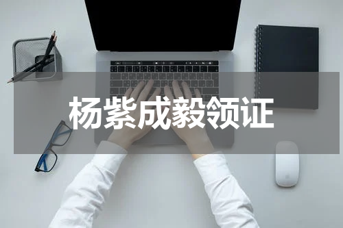 杨紫成毅领证