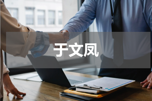 于文凤