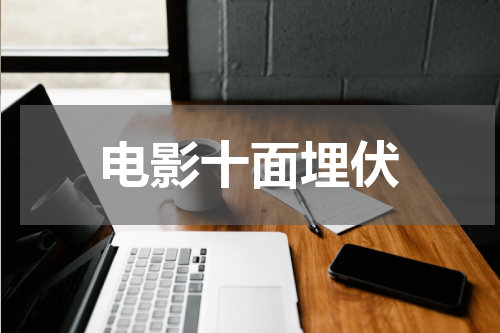 电影十面埋伏