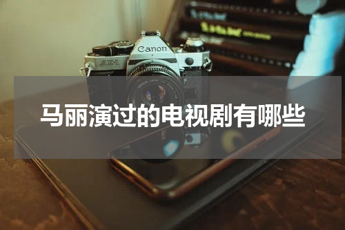 马丽演过的电视剧有哪些