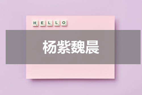杨紫魏晨