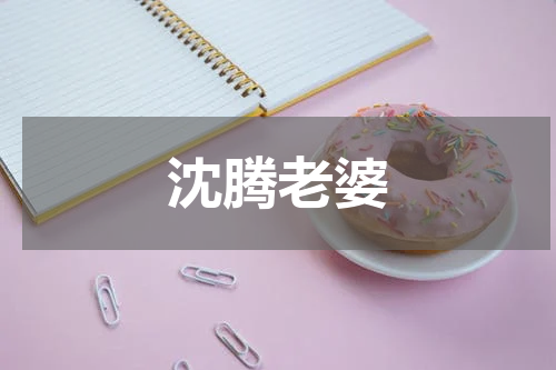 沈腾老婆