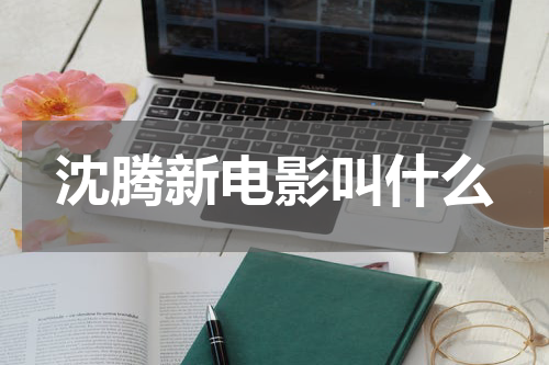 沈腾新电影叫什么