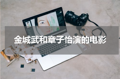 金城武和章子怡演的电影