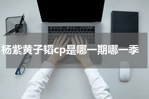 杨紫黄子韬cp是哪一期哪一季