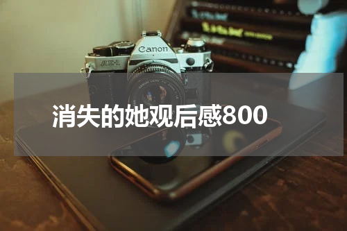 消失的她观后感800