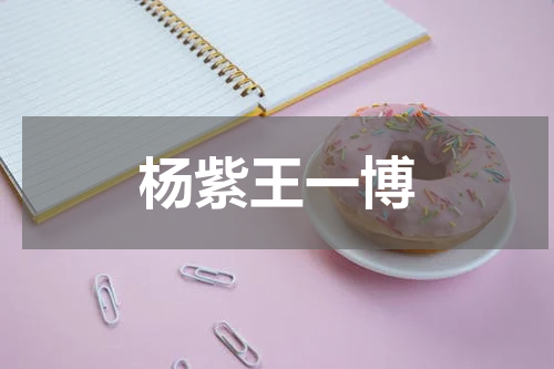 杨紫王一博