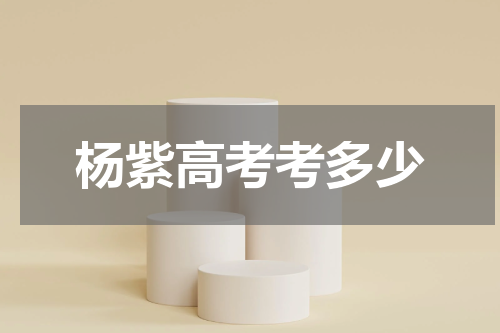 杨紫高考考多少