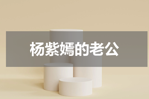 杨紫嫣的老公